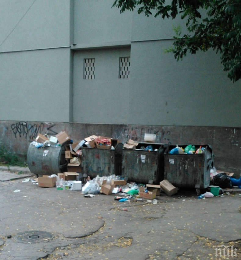 В Пловдив погнаха магазин и ресторант заради свинщина 