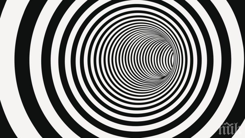 Уникална илюзия! Може ли да познаете какво има на снимката?