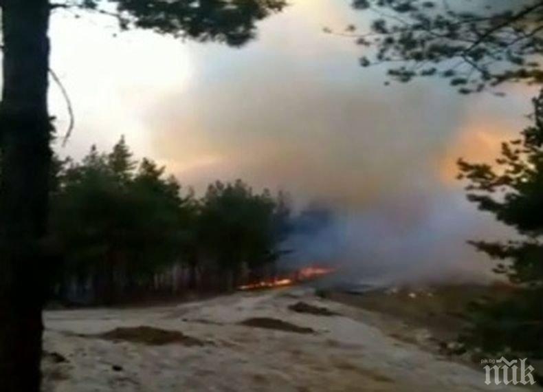 Пожарът в община Белица е овладян