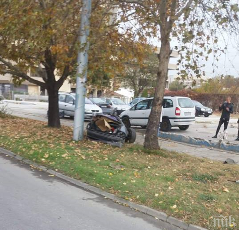 БМВ се разцепи след жесток удар в дърво (СНИМКИ)