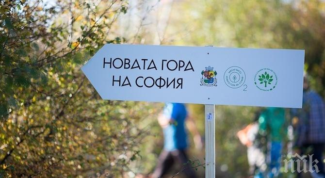 Автобус до Новата гора на София ще върви в събота и неделя