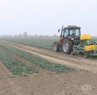 Натровен от спанак с татул: Жена ми халюцинираше. Пловдивският производител изтегли целия зеленчук от пазара