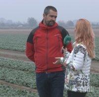 Унищожават над 700 кг спанак заради опасност от натравяне