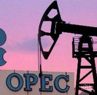 Саудитска Арабия предрича разпускане на ОПЕК