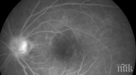 пробив биолози създадоха човешка ретина