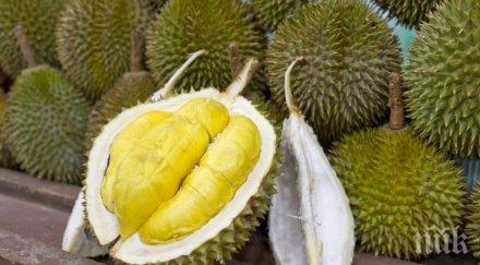 пътници искат пътуват самолет заради воня плод