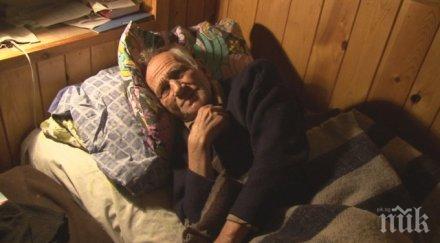 терор брутални нападения възрастни хора пазарджишко снимки