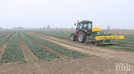 натровен спанак татул жена халюцинираше пловдивският производител изтегли целия зеленчук пазара