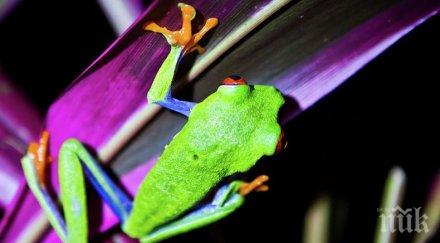 необичайна находка полицията колумбия предотврати опит контрабанда