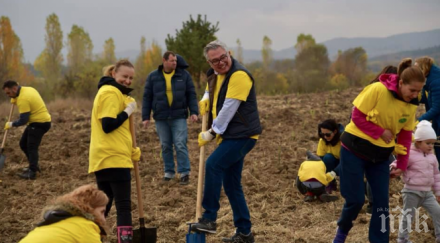 засадиха 6200 дръвчета софия