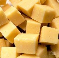 ПРОИЗВОДИТЕЛИ АЛАРМИРАТ: Тонове сирене и кашкавал залежават в мандрите