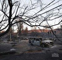 Трагедията расте: Броят на жертвите на пожарите в Калифорния достигна 42-ма души