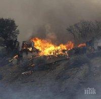 Броят на загиналите при пожарите в Калифорния достигна 25 души