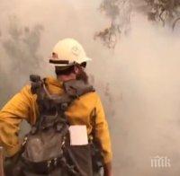 Доналд Тръмп обяви кой е виновен за горските пожари в Калифорния