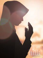 без любов омъжена заради родителите изход