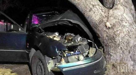 пияна пловдивчанка разби колата дърво пещерско