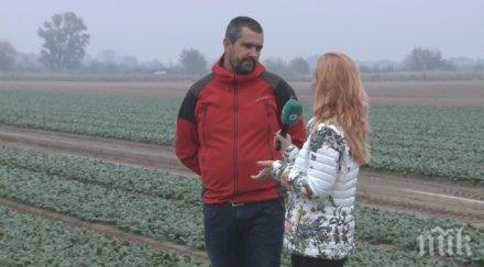 глобяват бона собственика фирмата разпространила спанак татул