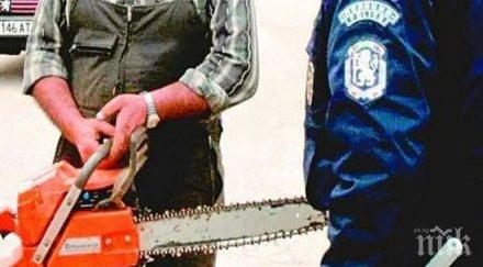 скандална немърливост общински служители пловдив направиха погром сграда рязане дърво снимка