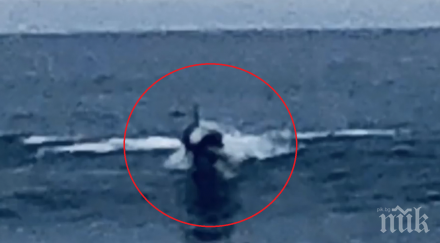 мъж видя водата същество приличащо човек засне видео