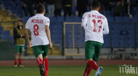 конфликт лъвовете