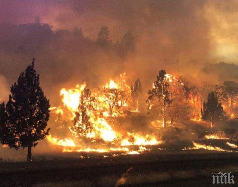 Огнен ад в Калифорния, има загинали (ВИДЕО)