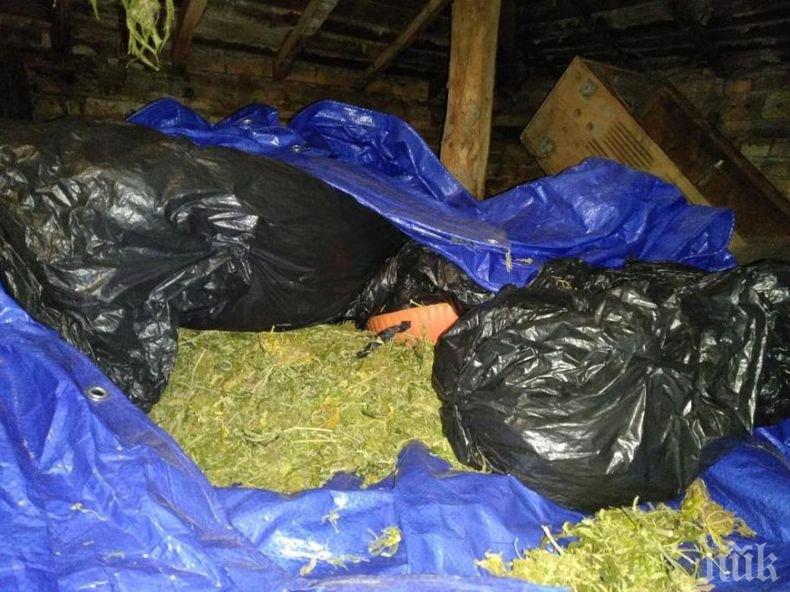 Сръбски полицай бе арестуван в Косово за наркотрафик