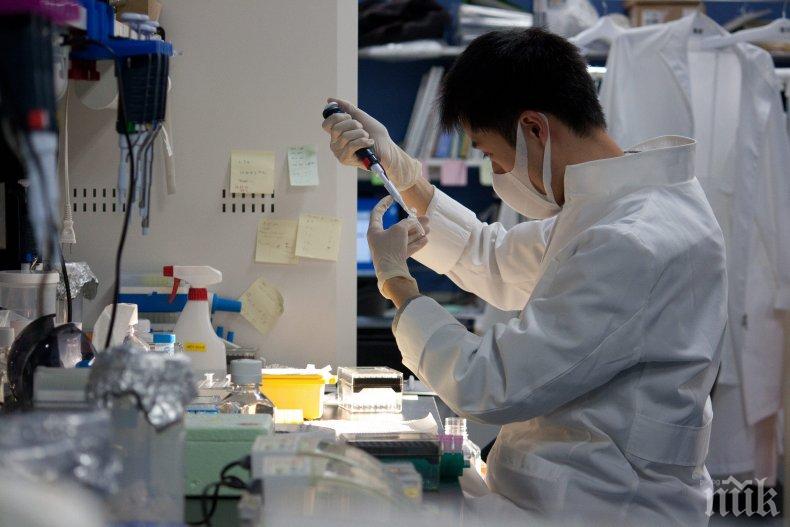 Американски лекари изследваха ефекта от добавките с рибено масло и вит. D
