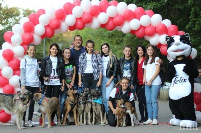 ЗЛАТНИ СЪРЦА: Ето кой стои зад фейс-групата Бандата на 1500-те или как 4 момичета мечтаят за свят без бездомни кучета (СНИМКИ)