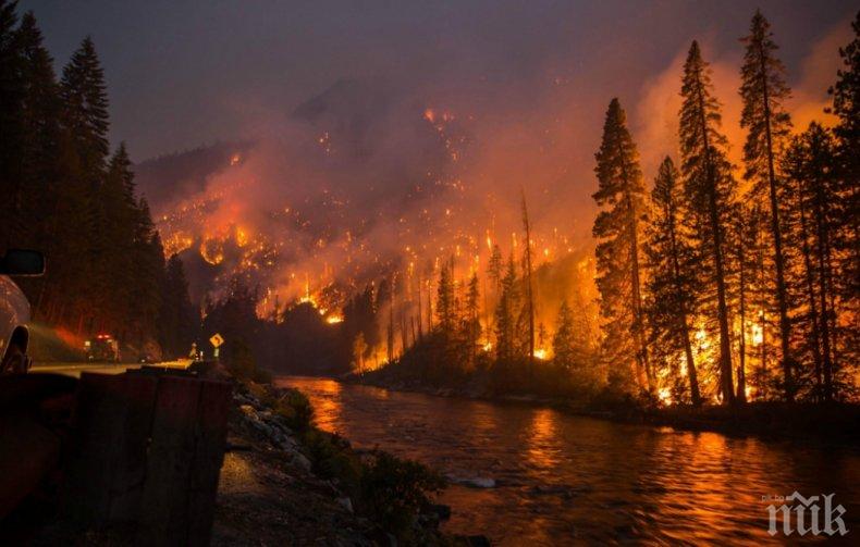 Звезди избягаха от домовете си заради пожара в Калифорния