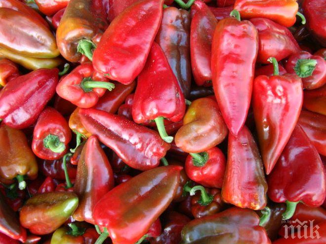 МОДЕРНА РАБОТА: Куртово Конаре продава чушките си онлайн