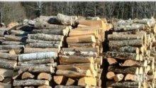 Кметове от Кърджали заплашват с протести заради хаоса с дървата за огрев