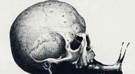 тест правилно сте избрали професията