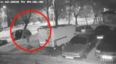 наглец краде саксии чемшири поразия