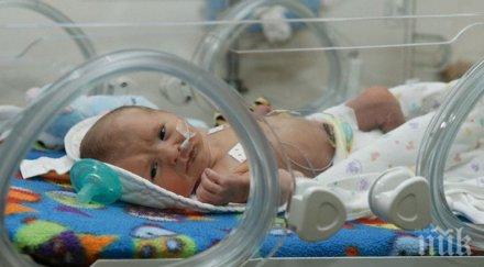 отбелязваме световния ден недоносените деца