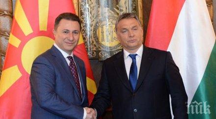 орбан приюти груевски вилата