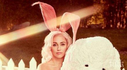 пожарите калифорния сравниха земята къщата майли сайръс снимка