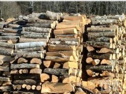 Кметове от Кърджали заплашват с протести заради хаоса с дървата за огрев