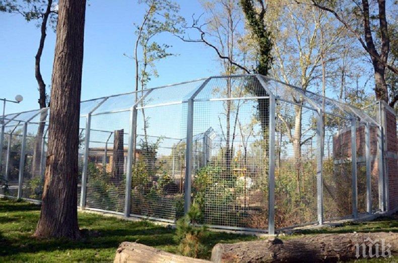 КУРИОЗ В ПЛОВДИВ: Зоопарк няма, 26 работника на щат обгрижват 6 маймуни