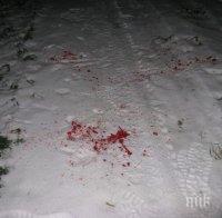 В СЕВЕРОЗАПАДА: Пияна шофьорка уби пешеходец