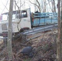 Камион с дърва падна от мост