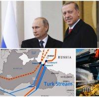 Путин и Ердоган правят първа копка на „Турски поток”