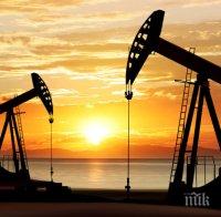 Цената на петрола на световните пазари се срина с почти 5%
