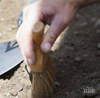 Археолози откриха фреска с Леда и Лебеда в Помпей
