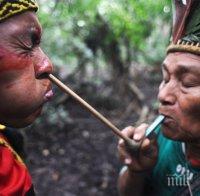 Племена в Амазония разкриват тайната на дългия живот
