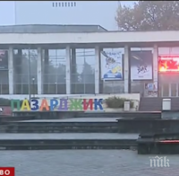 Масово тровят кучета в Пазарджик