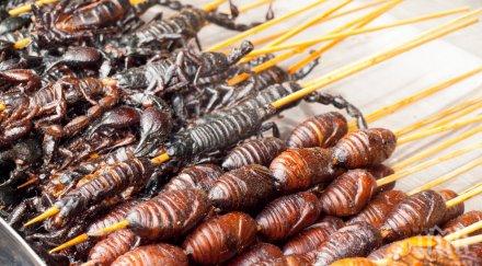 кулинарен хит великобритания предлагат скакалци скара