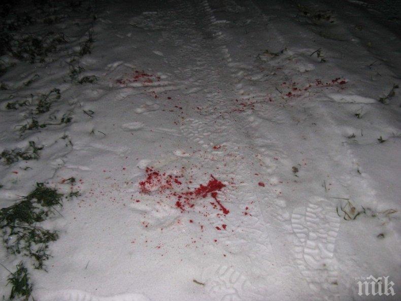 В СЕВЕРОЗАПАДА: Пияна шофьорка уби пешеходец