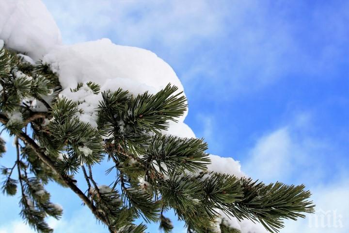 Сняг вали в планините - на връх Ботев покривката вече е 16 см