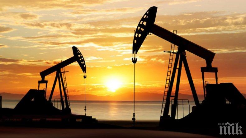 Цената на петрола на световните пазари се срина с почти 5%
