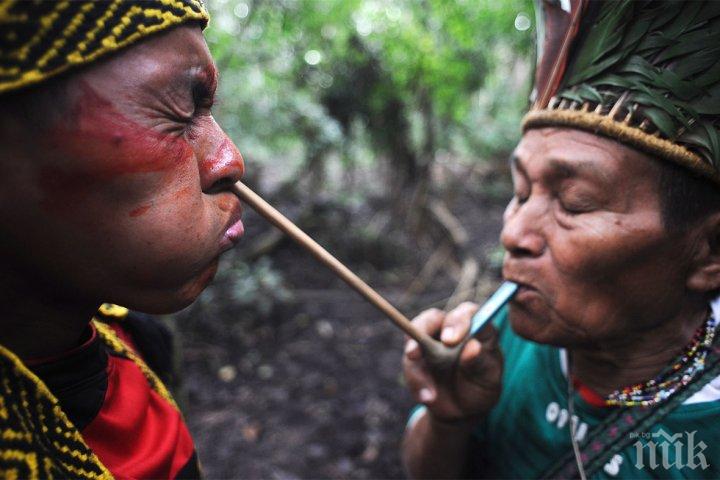 Племена в Амазония разкриват тайната на дългия живот
